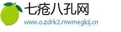 七疮八孔网